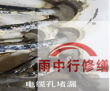 盐城电缆线空洞堵漏加固案例